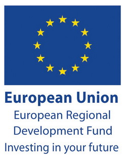 ERDF Vertical Logo Small