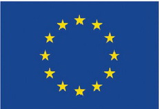 EU flag small